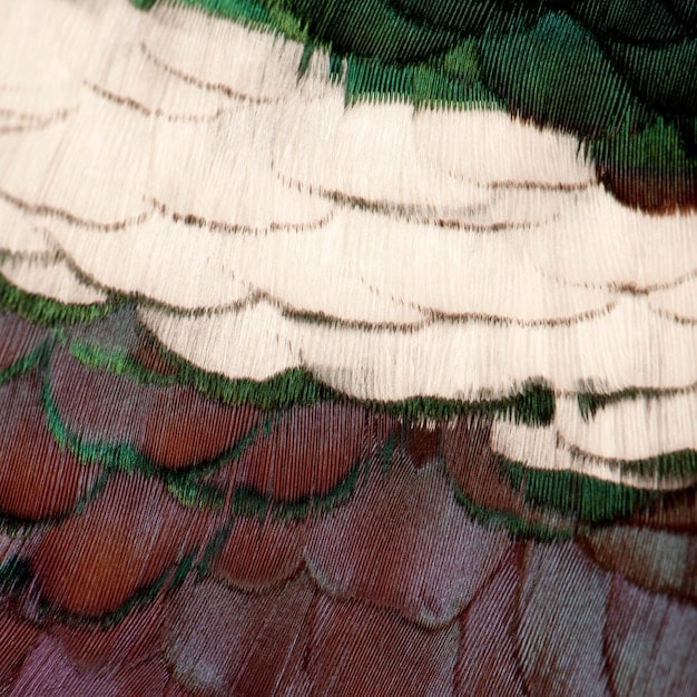 A close-up shot of a digital painting interface, showcasing the layers and intricate details involved in creating a fantasy artwork. The image highlights the use of digital brushes, color palettes, and other tools that contribute to the artist's unique style.