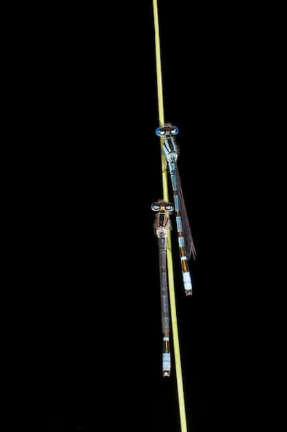 A person is shown soldering wires to an LED strip inside a lightsaber hilt, with a close-up on the soldering iron and the connected wires.