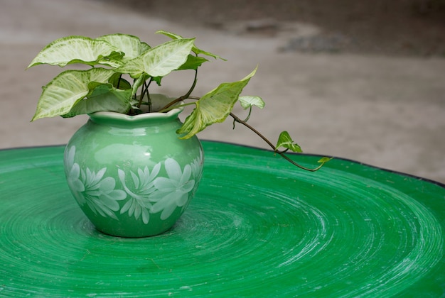 A close-up of a traditional Korean celadon vase, highlighting its delicate carvings, subtle green glaze, and elegant form influenced by nature, placed on a modern minimalist wooden table in a US home.