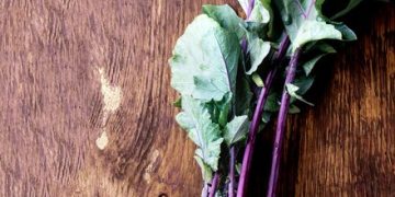 The Art of Kimchi Making: A Beginner's Guide for US Home Cooks - Cover Image