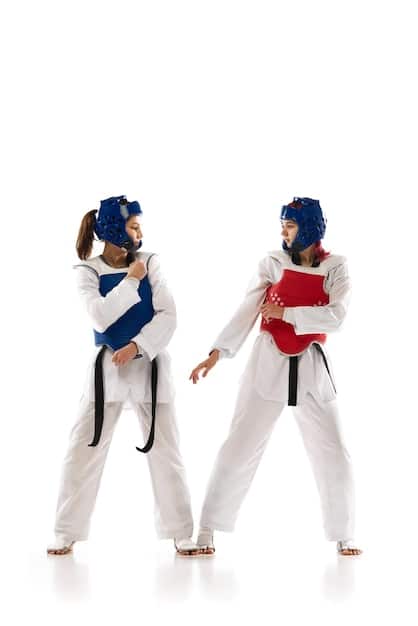 Taekwondo’s Journey: From Ancient Korean Roots to US Training Centers
